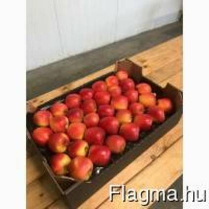 Apples fresh