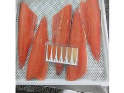Premium Quality Norwegian Atlantic Salmon Fish Gutted Head On (Salmon HON). Salmon Fillets