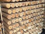Бревно оцилиндрованное - фото 2