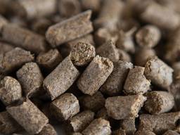 Brewing waste