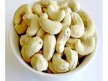 Cashew Nuts W320 W240 From Vietnam Hot Sale Best Price Great Taste High Grade Quality - фото 1