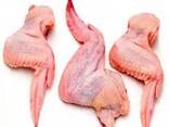 Chicken Wings - фото 2