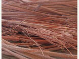 Best Quality Of Copper Wire Scrap 99.99% / Copper Metal Scraps At Low Prices - photo 4
