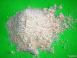 Corn Flour from Bulgaria - photo 1