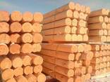 Pine and oak saw timber – any size. Round timber – pine logs - фото 1