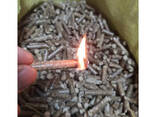 Europe Wood Pellets DIN PLUS / ENplus-A1 Wood Pellets - photo 3