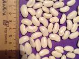 Фасоль оптом из Киргизии - фото 1