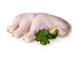 Frozen Chicken Feet / Quarter Chicken Leg / chicken breast bulk sellers - фото 2