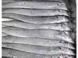 Frozen fresh whole round ribbon fish for sale