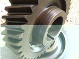 Gearwheel, gear, staft gear, toothed crown, gear box - фото 3
