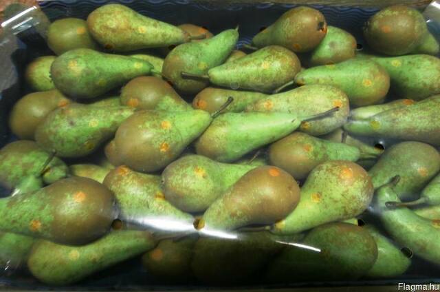 Груши из Польши! Pears from Poland!