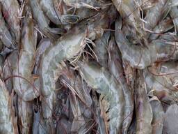 Healthy Seafood Vannamei Shrimp for Sale