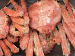 High Quality King Crab Legs / King Crab Clusters / King Crab Sections / Blue Crabs - фото 3