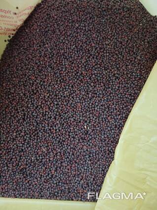I will sell black mustard 200t. , brown flax 200t.