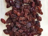 Сухофрукты из солнечного Узбекистана - фото 1