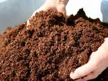 Компост на основе куриного помета гумифицированный удобрение - фото 1