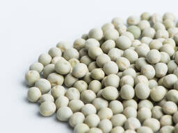 Купую зелений гороx