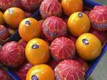 Mandarines Morket - фото 2