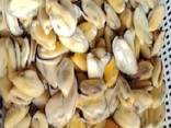 Мороженная рыба и морепродукты в Венгрию от производителя из КНР - photo 1