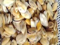 Мороженная рыба и морепродукты в Венгрию от производителя из КНР