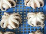 Мороженная рыба и морепродукты в Венгрию от производителя из КНР - photo 8