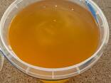 Natural Flower Honey Wholesale from the Manufacturer! Ukraine - фото 1