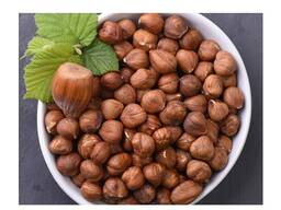 Natural Taste Quality Blanched Hazelnut/Hazel Nut at Low Price