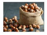 Natural Taste Quality Blanched Hazelnut/Hazel Nut at Low Price - фото 2
