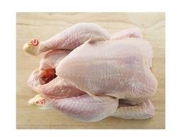 Premium Grade Whole Fresh Frozen Chicken in a Best Rate