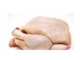 Premium Grade Whole Fresh Frozen Chicken in a Best Rate - фото 2