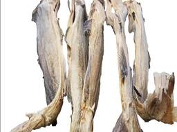 Premium Quality Dried Bombay Duck Fish / Dried Cod Fish Tosk Cod Fish