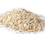 Premium Quality Wholesale Large Flake Rolled Oats / Instant Oats - фото 2