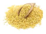 Pure Quality Organic Millet Grains Wholesale Supplier Bulk Online Sale - фото 2