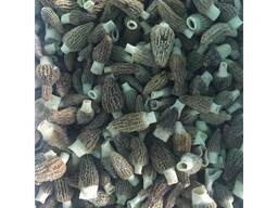 Quality Dried Morel Mushrooms