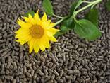 Sunflower husk pellets (sunflower fuel pellets) - фото 1