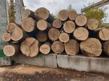 Unedged oak lumber - фото 2