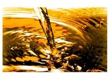 USED COOKING OIL (UCO) FOR BIODIESEL Suitable for biofuel - фото 2