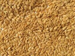 Manufacturer sells:confectionary flax