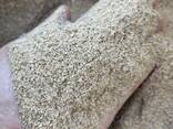 Wheat bran / Búzakorpa / Отруби пшеничные - фото 2