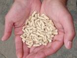 Wood pellets wholesale Outlet cheap bulk biomass wood fuel pellets - фото 1